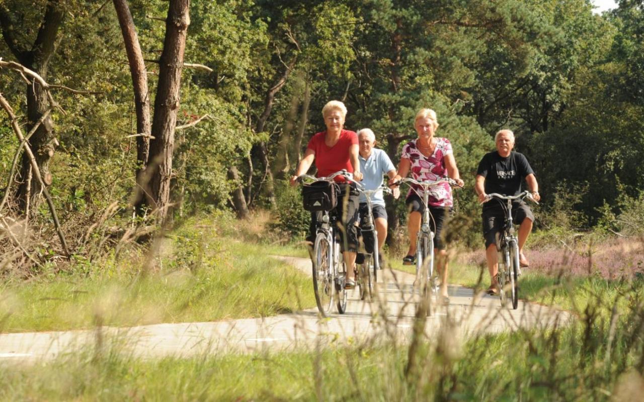 Sfeervolle Chalet Met Terras, H14 De Veldkamp, Epe, Voor 4 Personenヴィラ エクステリア 写真